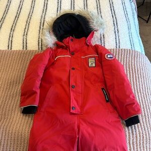 Canadá Goose on piece